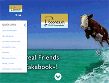 Tablet Screenshot of boonex.ch